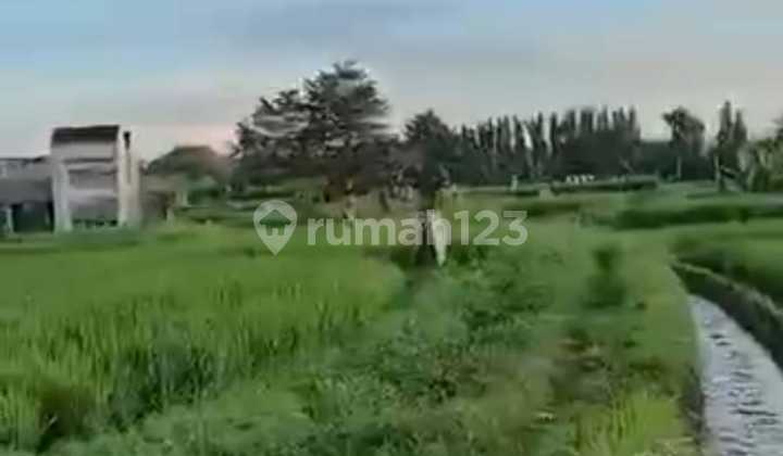 Tanah Luas Stragis Dekat Pusat Ubud di Peliatan, Gianyar Bali Tanah Luas Stragis Dekat Pusat Ubud di Peliatan, Gianyar Bali