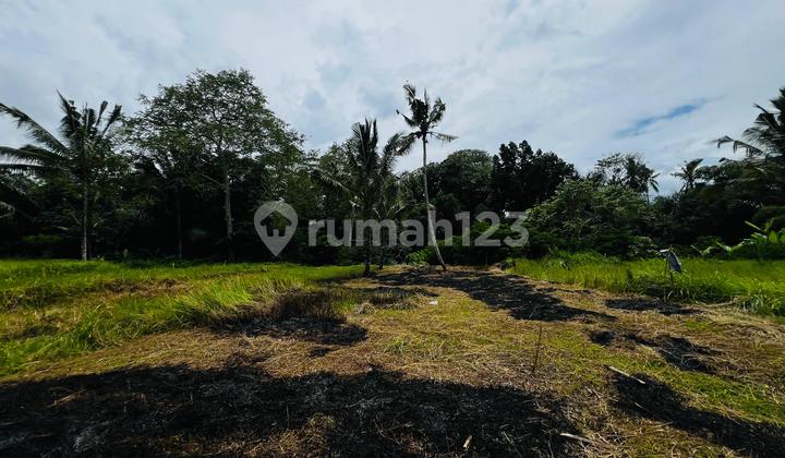 Tanah Kavling Strategis Dekat Hotel Bintang 5 Payangan, Ubud