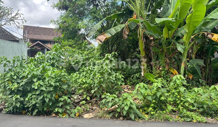 Land in the Padonan Area Suitable for Business