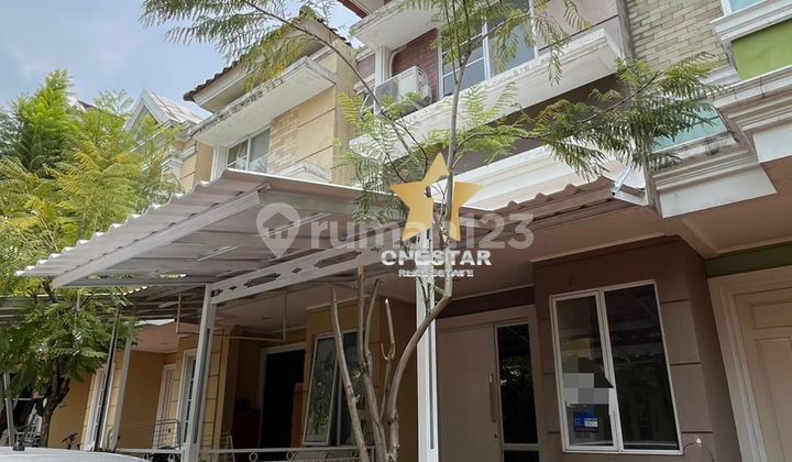 Disewakan Rumah Cluster Amarillo Gading Serpong Siap Huni Disewakan Rumah Cluster Amarillo Gading Serpong Siap Huni