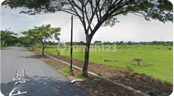 TANAH ZONA INDUSTRI DI RAYA PANTURA TUBAN TANAH ZONA INDUSTRI DI RAYA PANTURA TUBAN