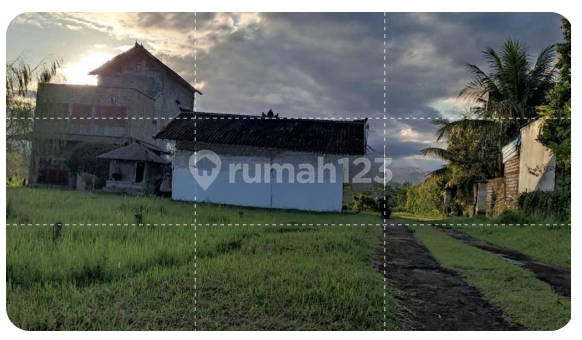 RUMAH BURUNG WALET PRODUKTIF DI JL PATIH JELANTIK BALI 2