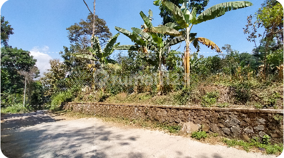 TANAH DI JL RAYA DUYUNG TRAWAS HILL MOJOKERTO VIEW BAGUS DAN ADA KEBUN DURIAN