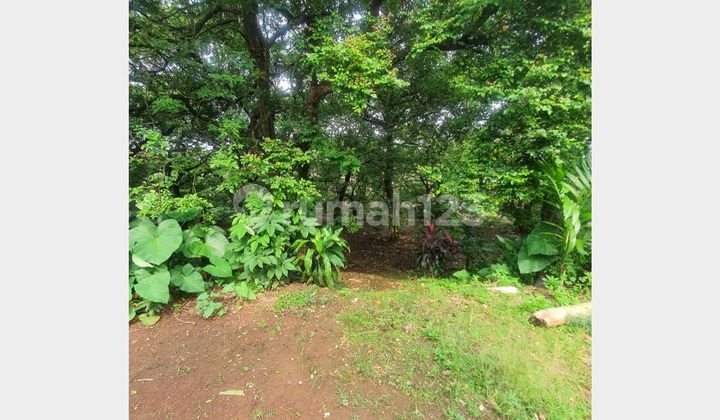 Tanah Potensial untuk Hunian dan Kos - Rangkapan Jaya Tanah Potensial untuk Hunian dan Kos - Rangkapan Jaya