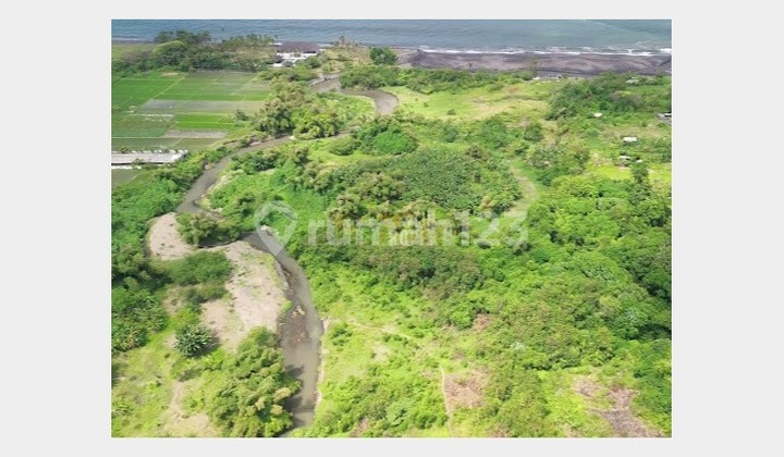 Potential Business Land Near Bali Safari & Marine Park Potential Business Land Near Bali Safari & Marine Park