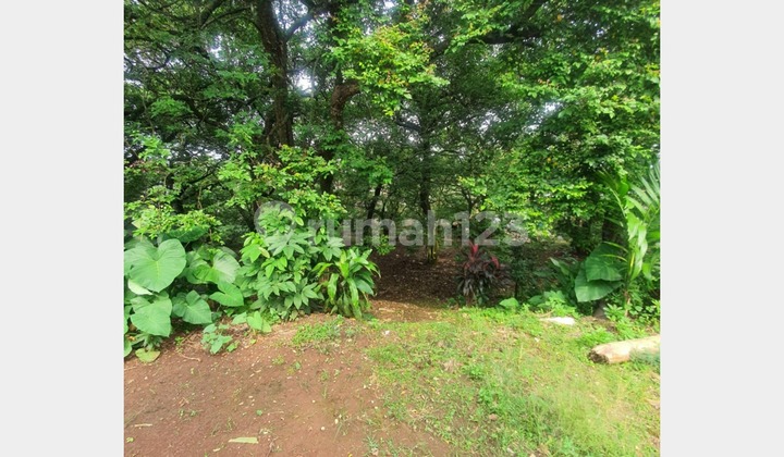 Tanah Luas Dekat Depok Town Square - Kawasan Padat