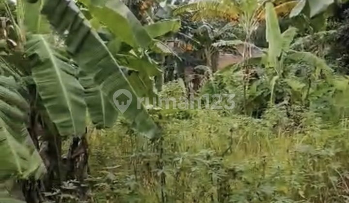 Jual Tanah Luas 2721m Mustikajaya Kota Bekasi Nego Sampai Deal Jual Tanah Luas 2721m Mustikajaya Kota Bekasi Nego Sampai Deal