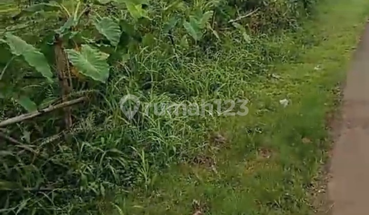 For Sale, Land Plot on Jl Pangkalan Batu, Dilendek, Bogor City, Area 400M²