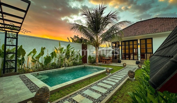 Brand New Villa For Sale In Lovina, North Bali | Modern Home & Great Investment