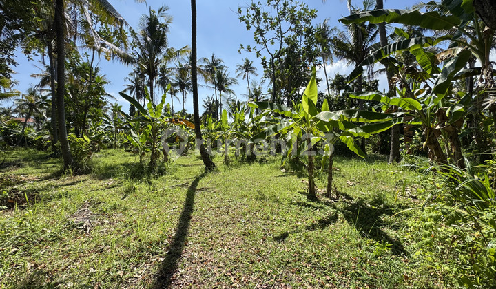 Strategic Land for Sale Near Lovina Beach – 1,150 m² Strategic Land for Sale Near Lovina Beach – 1,150 m²