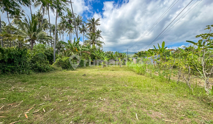 Land for Sale in Central Lovina – 400 m², Only 4 Minutes to the Beach