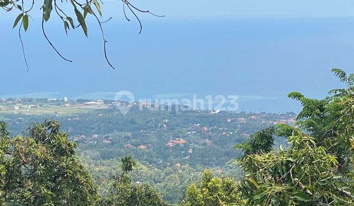 Large Plot Land In Kayu Putih Lovina - Ideal For Residential Or Investment