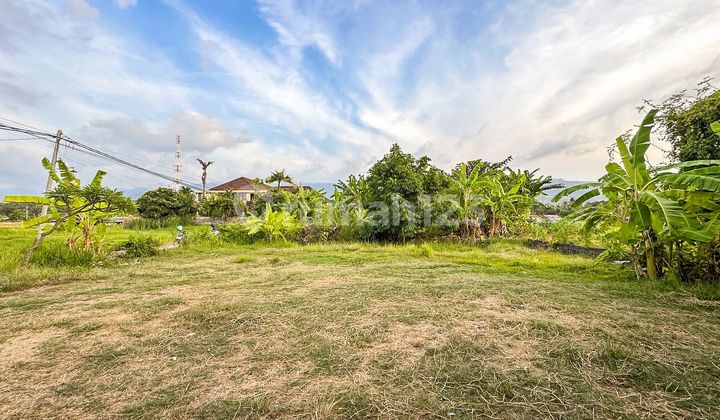 Freehold Land for Sale in Central Lovina – Only 100m from the Beach! Freehold Land for Sale in Central Lovina – Only 100m from the Beach!