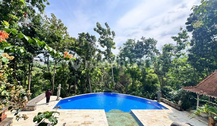 Private Estate For Rent In Lovina - 9,800 M² Land With Pool & Tropical Garden