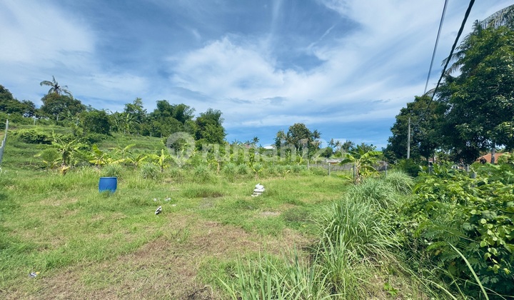 Strategic Land in Seririt - 1,600 m² Near Lovina Beach & Munduk Strategic Land in Seririt - 1,600 m² Near Lovina Beach & Munduk