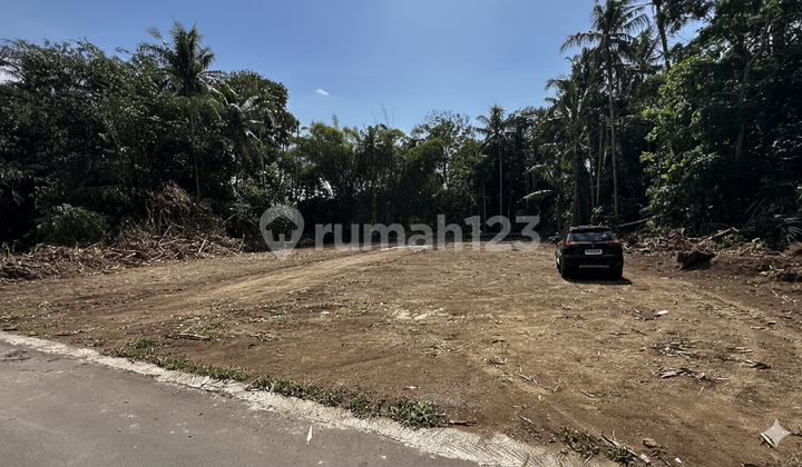 Land for Sale in Sleman, 5 Minutes to Sleman Government Office - 0% Installment Land for Sale in Sleman, 5 Minutes to Sleman Government Office - 0% Installment