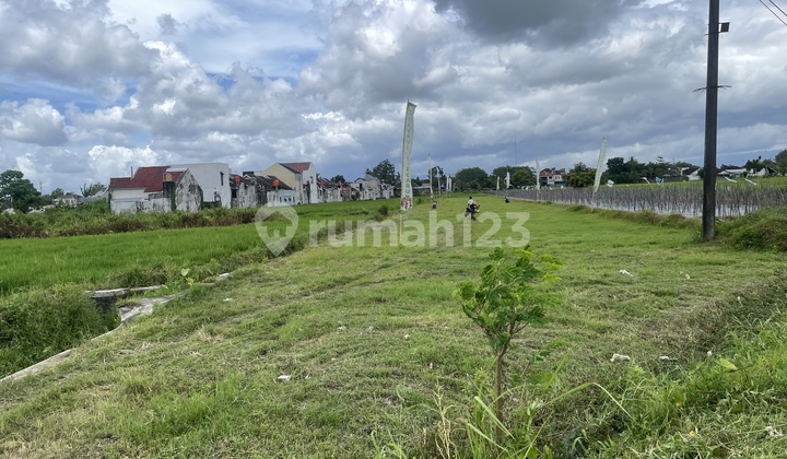 Tanah Godean Sleman SHM Prospek - Cocok untuk Hunian & Kost Tanah Godean Sleman SHM Prospek - Cocok untuk Hunian & Kost