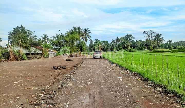 Tanah Siap Bangun Pandwoharjo - View Sawah & Gunung