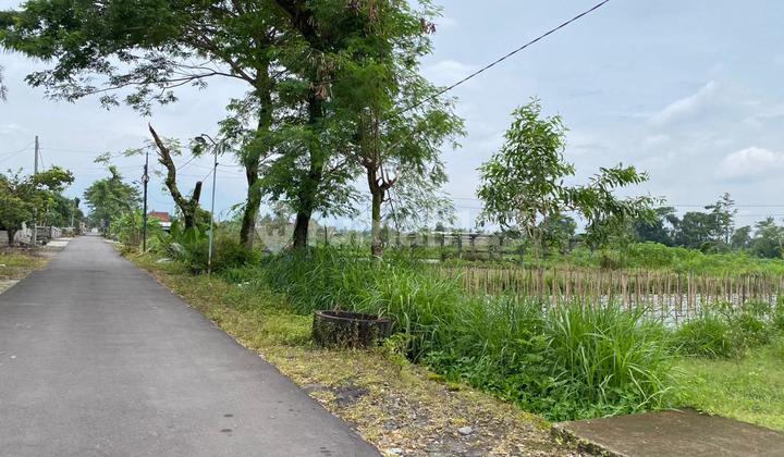 SHM Land in Selomartani, Kalasan, Sleman, Suitable for Residence