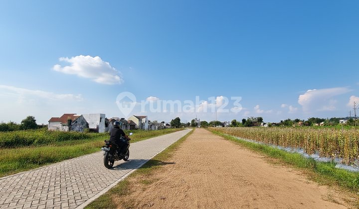 Godean Land, Sleman, Near Demak Ijo Intersection