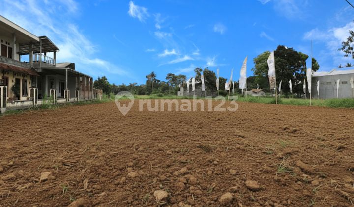 Premium Land Jogja SHM North of Suciati Mosque Saliman Sleman Premium Land Jogja SHM North of Suciati Mosque Saliman Sleman