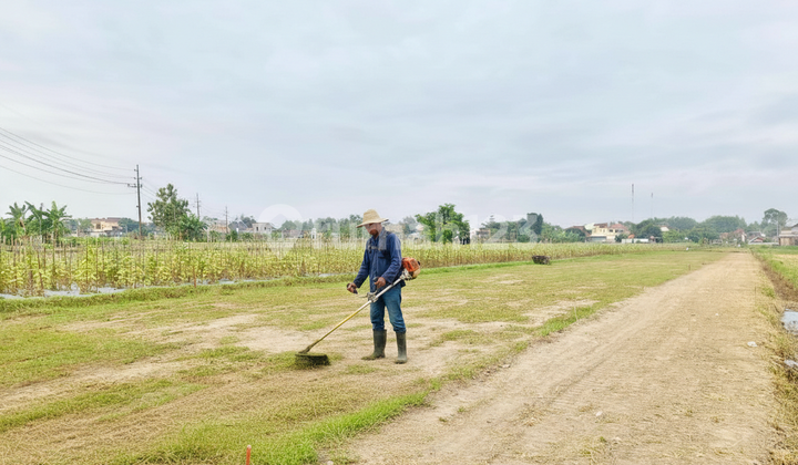 Tanah Pekarangan Godean Sleman - Cocok Hunian