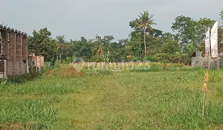 Tanah Jogja SHM siap bangun cocok untuk hunian view sawah
