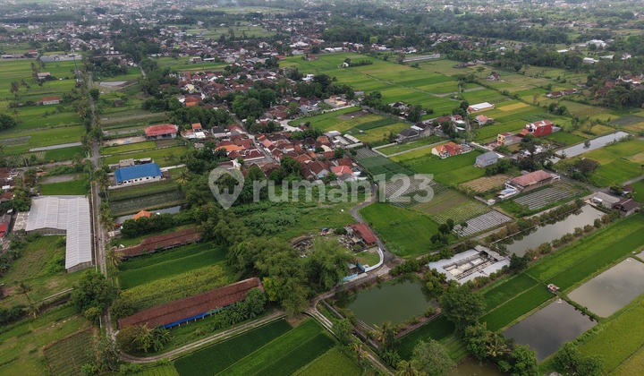 Tanah SHM Jogja, Barat Exit Tol Kalasan Cocok Untuk Hunian 