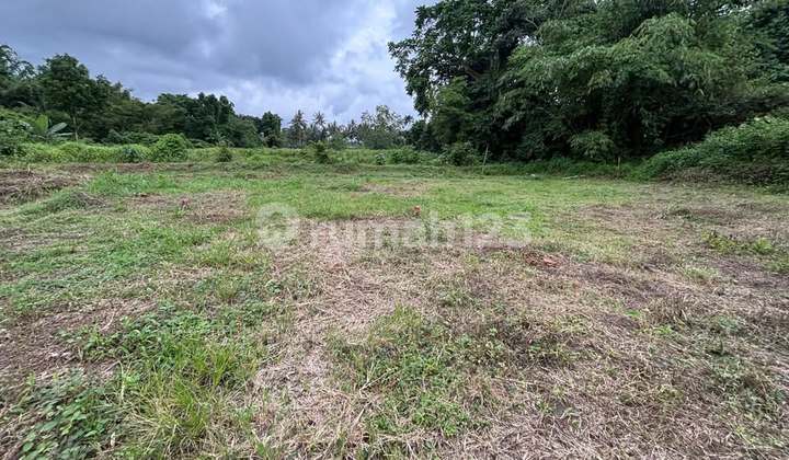 Siap Bangun Tanah Pakem Barat Rs Gracia