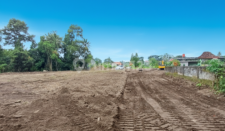 Tanah SHM Sleman 100 Jtaan Utara Dawet Viral Pak Bardi