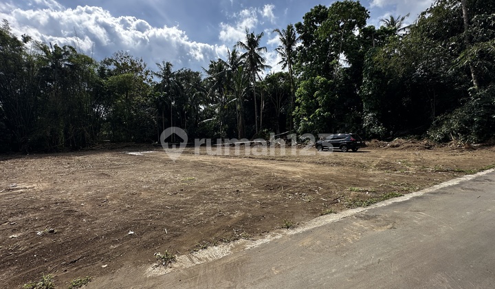 Tanah 100 Jtaan SHMP Belakang Kantor BPN Sleman 