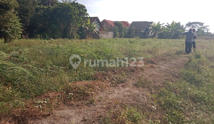 Tanah murah (SHM) pas untuk rumah plus view sawah 