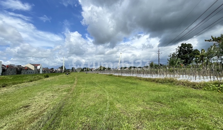 Tanah Pekarangan Sidoarum Godean - Investasi Menguntungkan