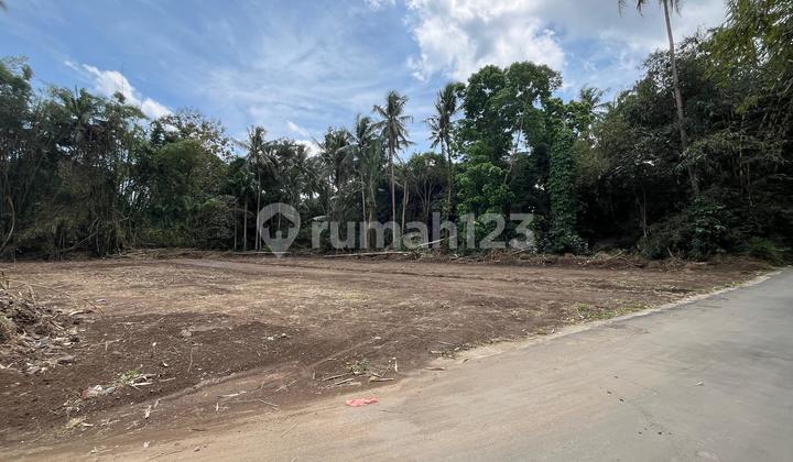 Sleman Land SHM South Sleman Market