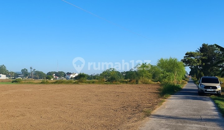 Tanah Murah Sidoarum Godean, hanya 2 Jt-an/m dekat Tugu Jogja Tanah Murah Sidoarum Godean, hanya 2 Jt-an/m dekat Tugu Jogja