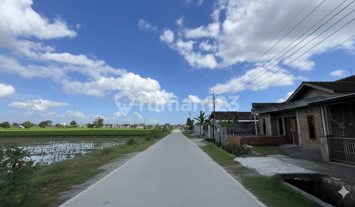 Investasi Menguntungkan Tanah Sleman SHM 300 JT-an Dekat UMY Investasi Menguntungkan Tanah Sleman SHM 300 JT-an Dekat UMY