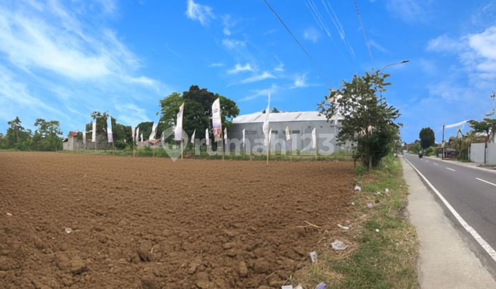 Premium Land Jogja SHM North of Suciati Mosque Saliman Sleman Premium Land Jogja SHM North of Suciati Mosque Saliman Sleman
