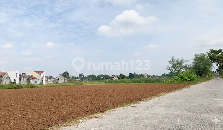 Tanah Pekarangan Godean Sleman Dekat Pasar Buah Gamping Tanah Pekarangan Godean Sleman Dekat Pasar Buah Gamping