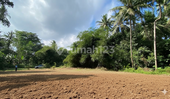 Tanah SHMP Selatan SAMSAT Sleman 