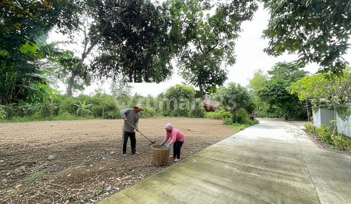 Strategic Land in Sleman Near UII Central Campus