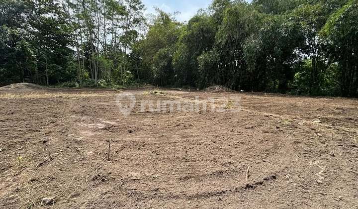 Land Ready for Construction Near Sleman Regency Government