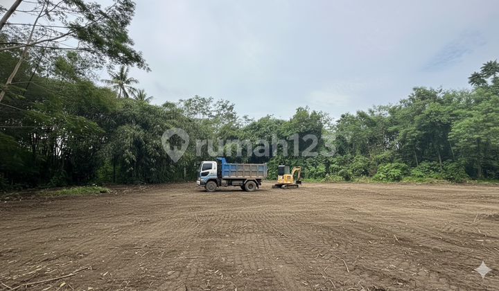 Siap AJB Tanah Tridadi Belakang Pemda Sleman Siap AJB Tanah Tridadi Belakang Pemda Sleman