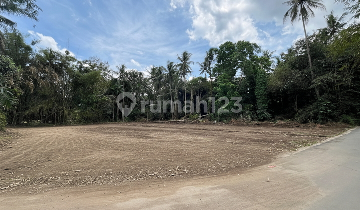 Tanah Strategis Tridadi Barat Pemda Sleman 