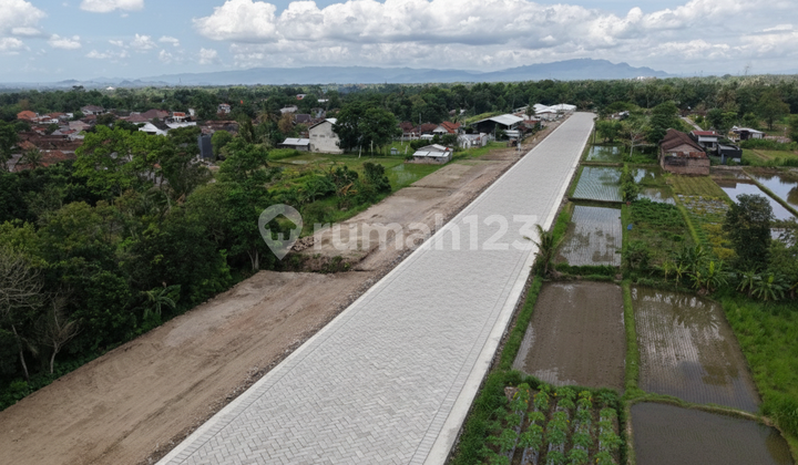 Tanah SHM Palagan Utara Masjid Suciati - Prospek Cicilan 0%
