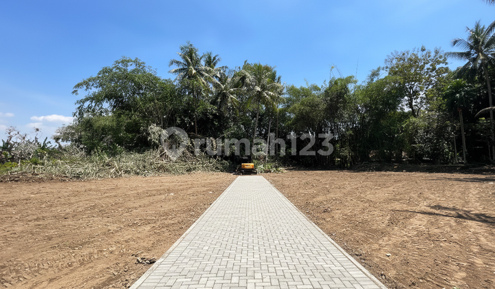 Tridadi Shmp 600 Meter Yard, Sleman Market