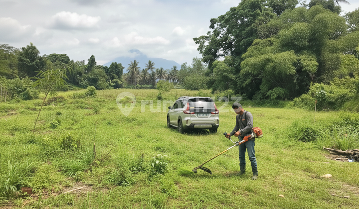 Dijual Tanah Siap AJB Harjobinangun Pakem Sleman - Utara Rs Panti Nugroho Dijual Tanah Siap AJB Harjobinangun Pakem Sleman - Utara Rs Panti Nugroho