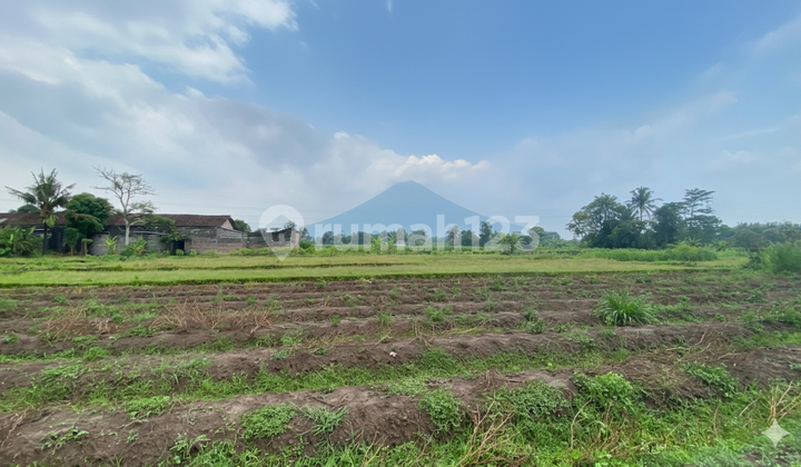 Affordable Land in Jogja, North SHM, Jejamuran Restaurant Affordable Land in Jogja, North SHM, Jejamuran Restaurant