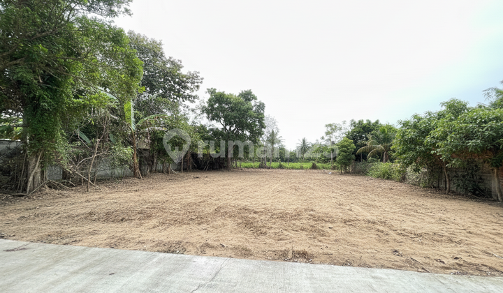 Sleman Land Ready to Build South of UII Main Campus Sleman Land Ready to Build South of UII Main Campus
