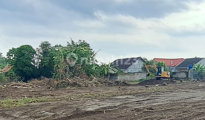 Tanah Jogja SHM view sawah dan Merapi cocok utk hunian