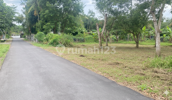 Sleman Land SHM West Spbu Selomartani Kalasan Sleman